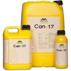 Can-17