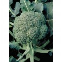 BROCOLI STEEL 1000 S.