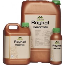 Raykat Desarrollo