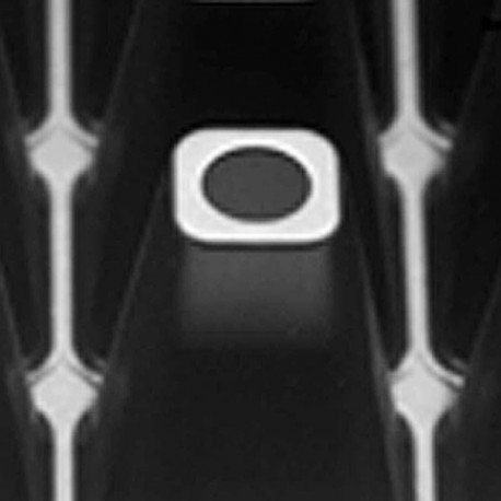 SEMILLERO 240 (49*29*3 CM.)