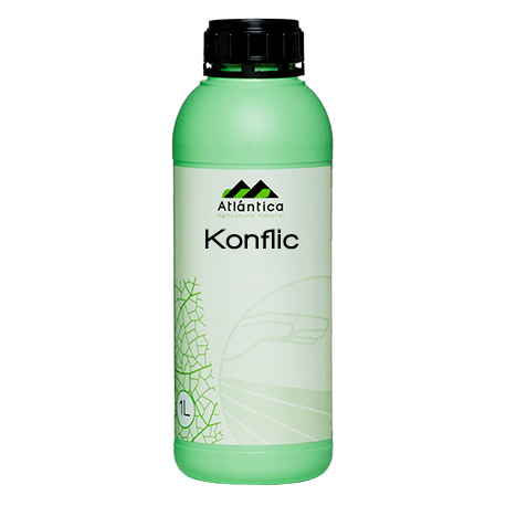 KONFLIC 1 L.