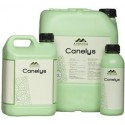 CANELYS 1 L