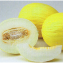 MELÓN GOLDORAL