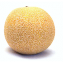 MELÓN SALADINO
