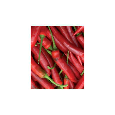 PIMIENTO FIREFLAME