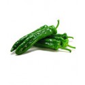 PIMIENTO ITALRESS 