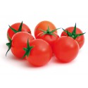 TOMATE LUPITAS