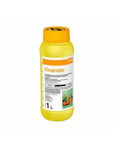 VIVANDO