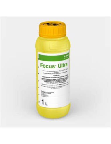FOCUS ULTRA