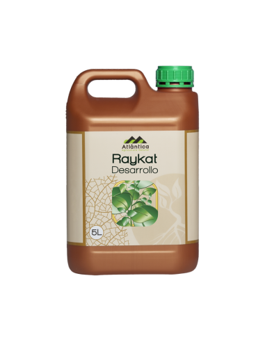 Raykat Desarrollo