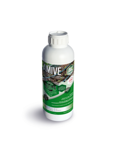 AMIVE