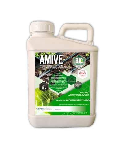 AMIVE