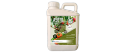 ASOTO GREEN