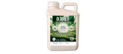 GLOBBER